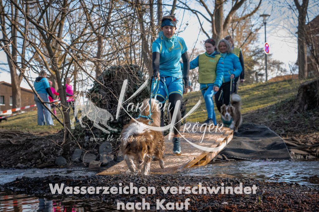 0828_ZZ91144 | kk-dogfotos