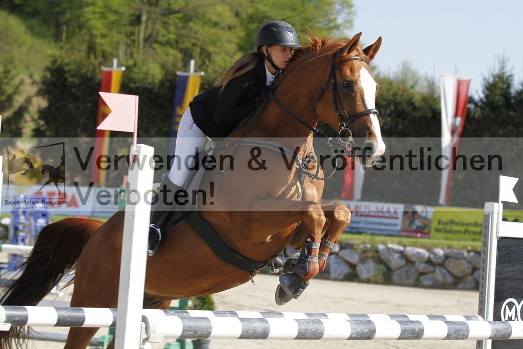 _MG_6623 | equestrian-live-com
