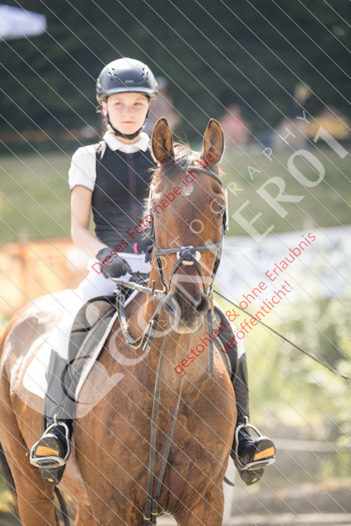 IMG_4667 | Sport-, Event- und Tierfotos in Profiqualität. Einfach auswählen, bestellen und herunterladen. Dein Moment – perfekt festgehalten.