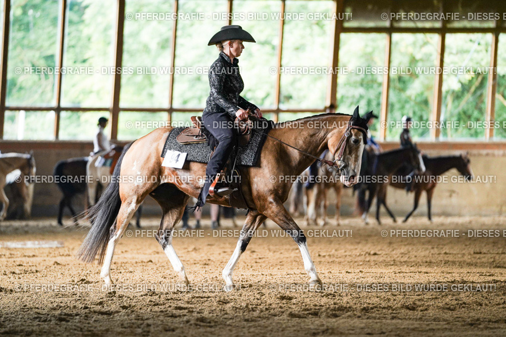 DSC05589 | Pferdegrafie