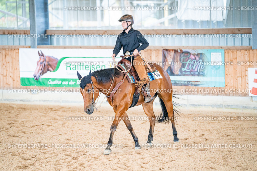 DSC09505 | Pferdegrafie