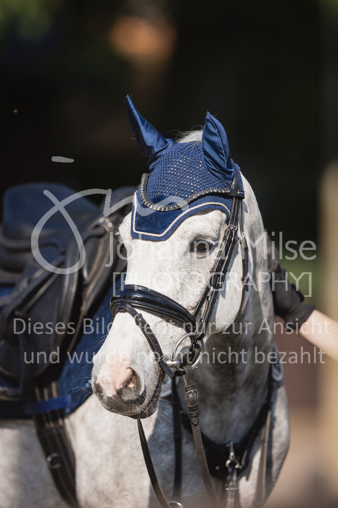 250501_MünsterHandorf_PonyTrophy-220 | Deine schönsten Turniermomente als professionelle Fotos! Entdecke hochwertige Pferdesport-Fotografie im Online-Shop. Jetzt Fotos finden & bestellen!