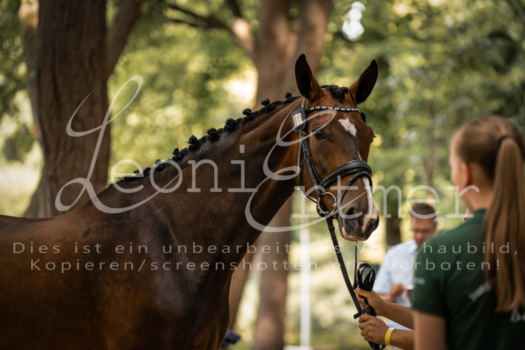 FrPfM00013 | Leoni Ertmer Photography - Realisiert mit Pictrs.com