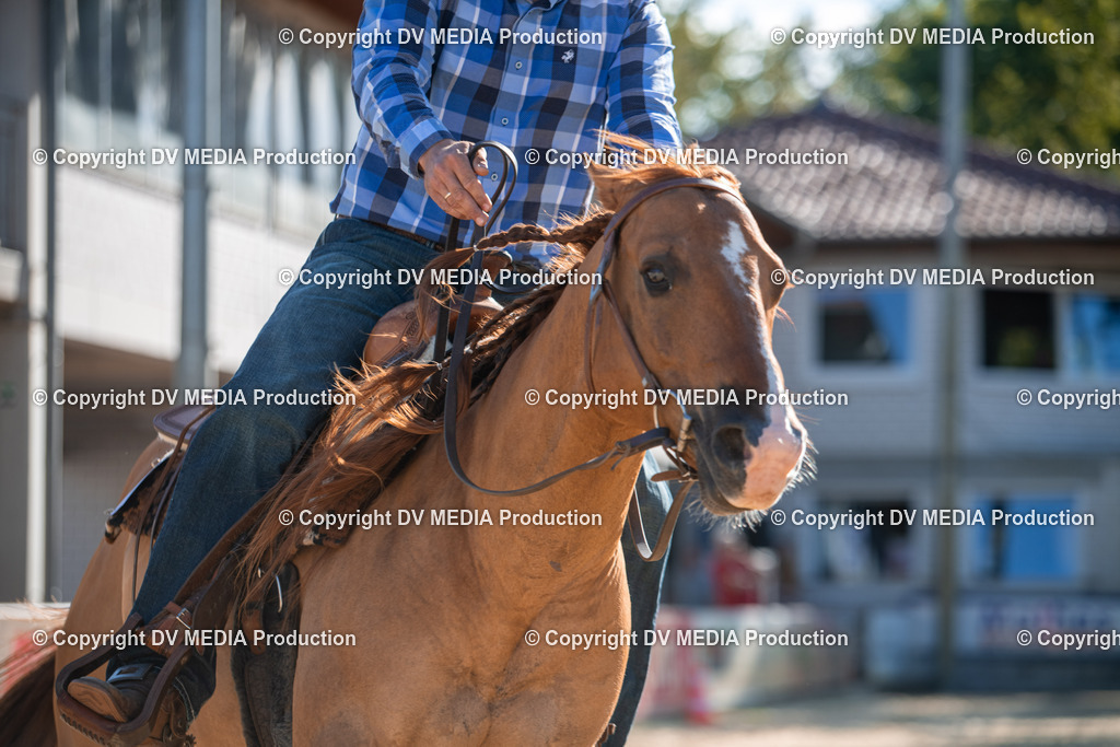 EWP_7038 | dv-media-shop - Realisiert mit Pictrs.com