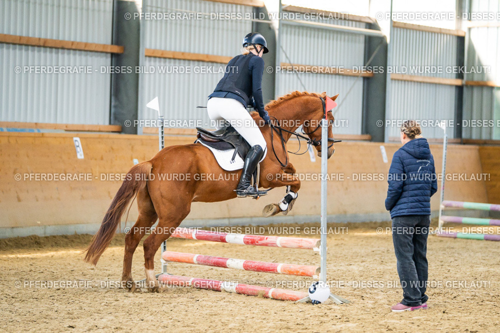 DSC01043 | Pferdegrafie