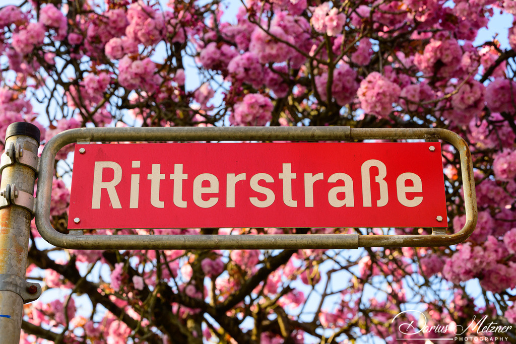 DSC_8587 | Fotografien, Fotos und Bilder aus Mainz, Frankfurt, Wiesbaden und anderen Orten auf der Welt - Fotografiert von Darius Metzner