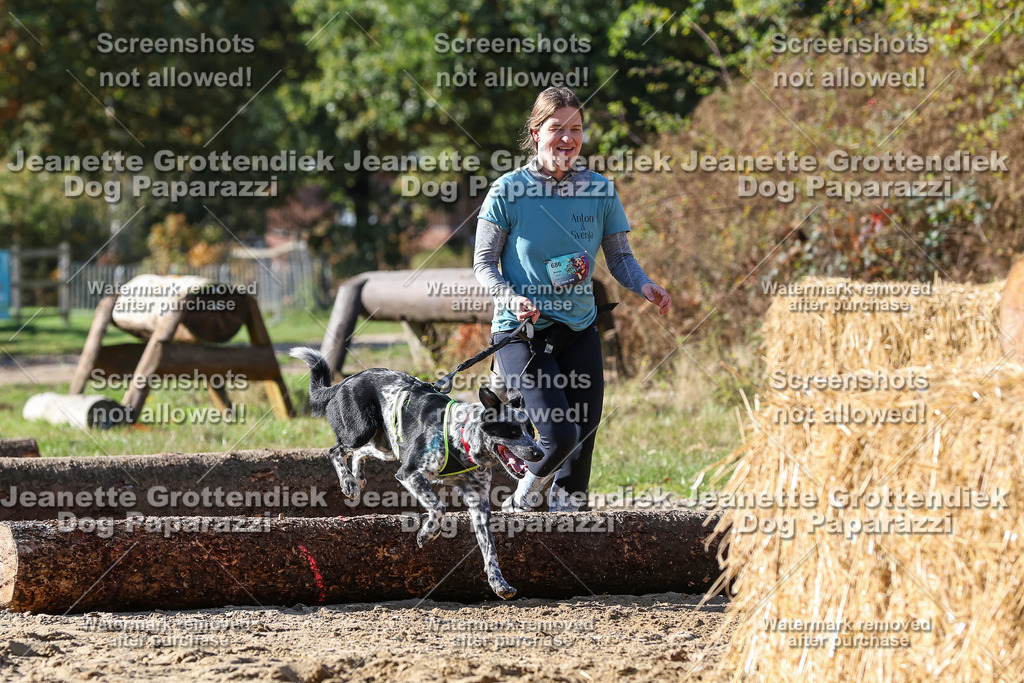 Dog Paparazzi - Strongdog 10-25-4716 | Dog Paparazzi Jeanette Grottendiek Fotografie & Videografie - Realisiert mit Pictrs.com