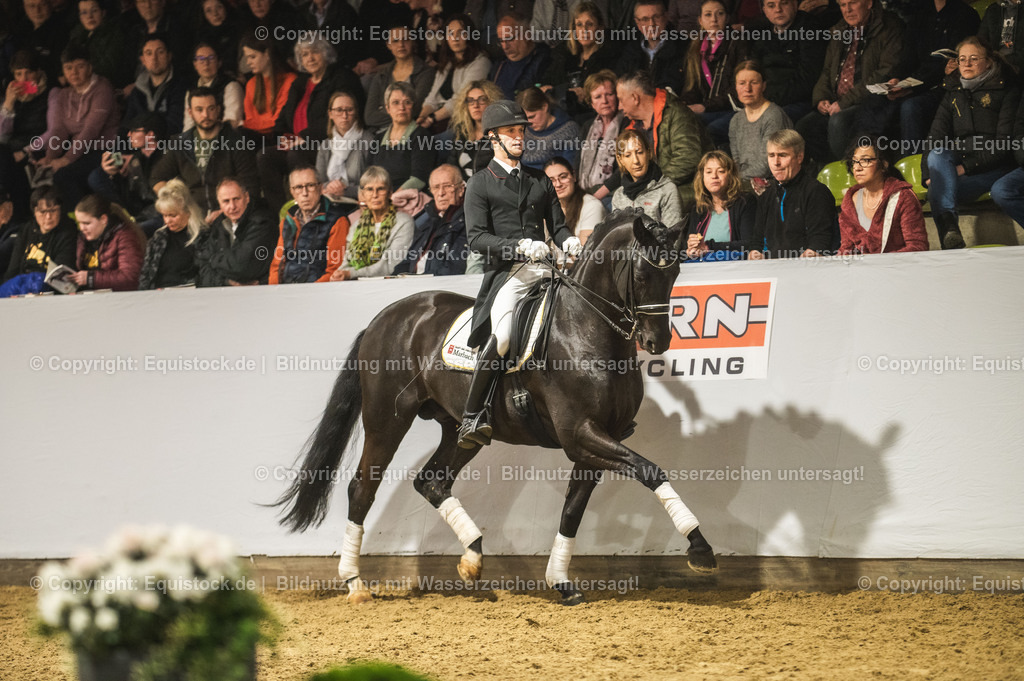 20240302_Hengstvorstellung_Marbach_TOMsPiC_1511 | equistock