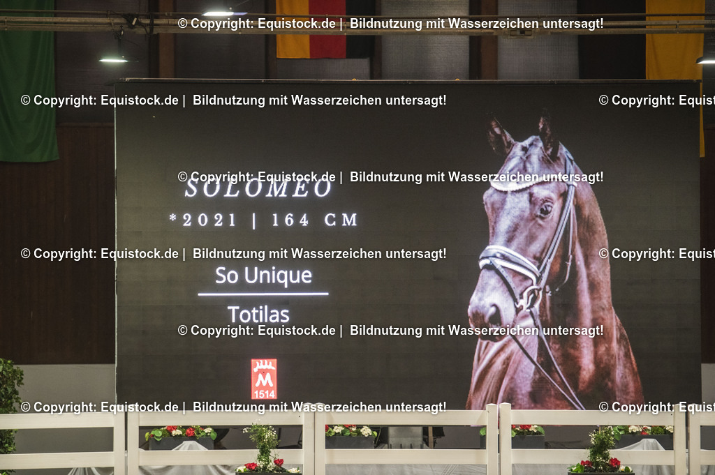 20240302_Hengstvorstellung_Marbach_TOMsPiC_1274-2 | equistock