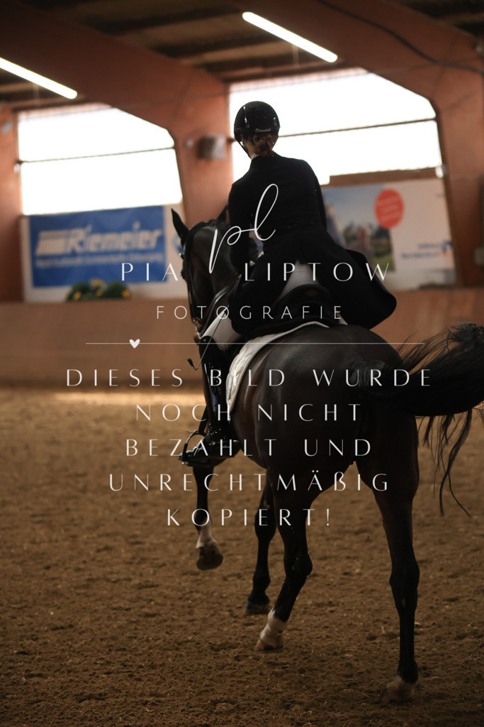 IMGT4357 | pl-fotografie