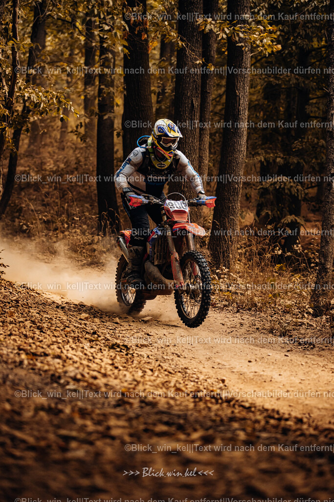 E68A7845 | blick_win_kel