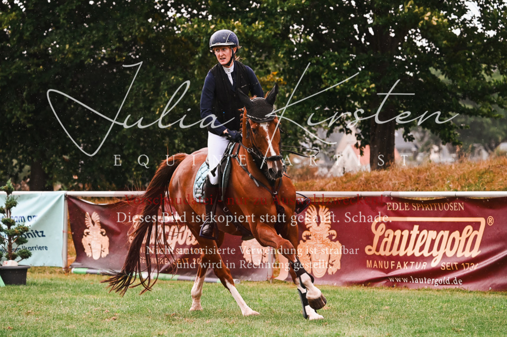 DSC_6385 | Pferde- und Turnierfotografie in Westsachsen. Pferdeportraits, Auftragszeichnungen und intuitive Kunst.