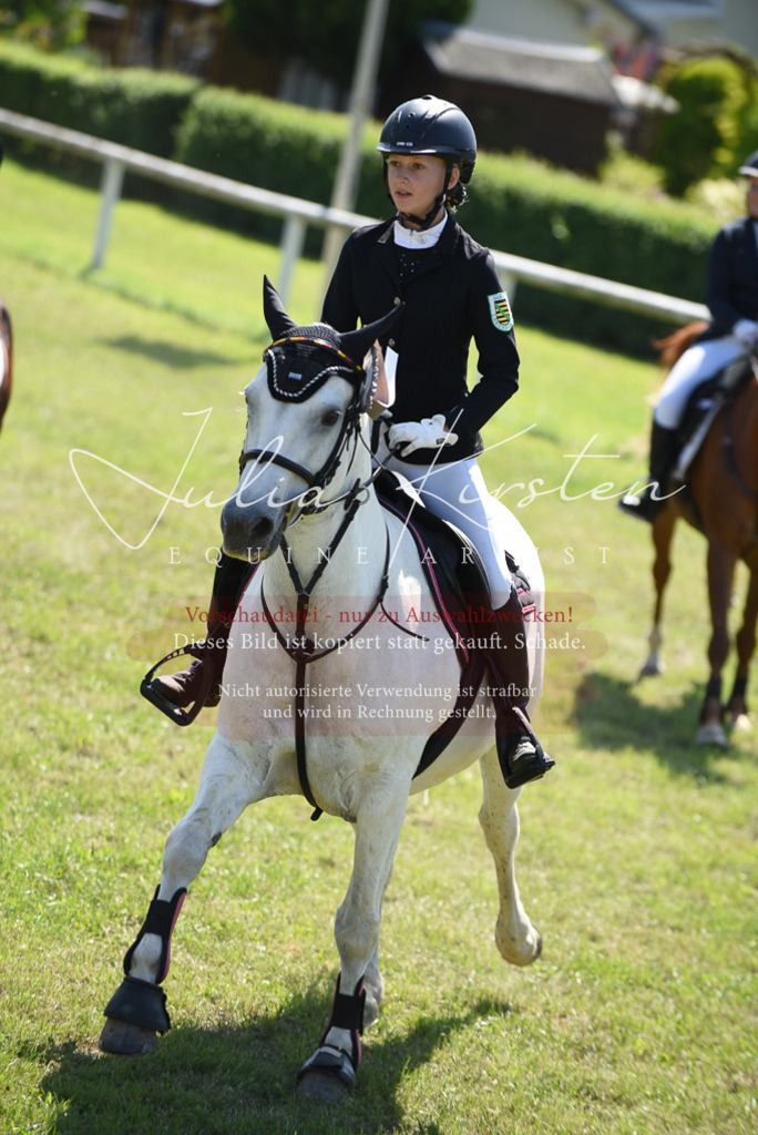 DSC_9652 | Pferde- und Turnierfotografie in Westsachsen. Pferdeportraits, Auftragszeichnungen und intuitive Kunst.