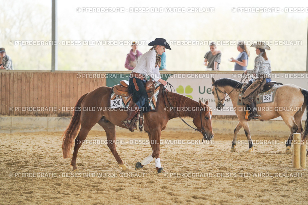 DSC06119 | Pferdegrafie