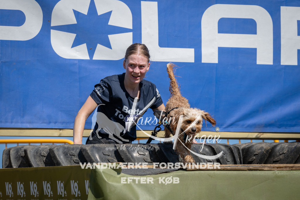 1303_ZZ98071 | kk-dogfotos