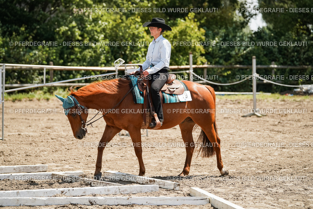 DSC07352 | Pferdegrafie