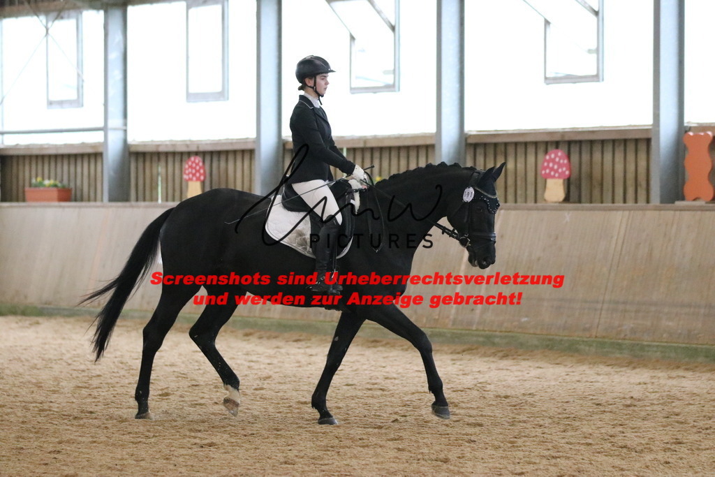 IMG_6889 | lmwpictures - Realisiert mit Pictrs.com