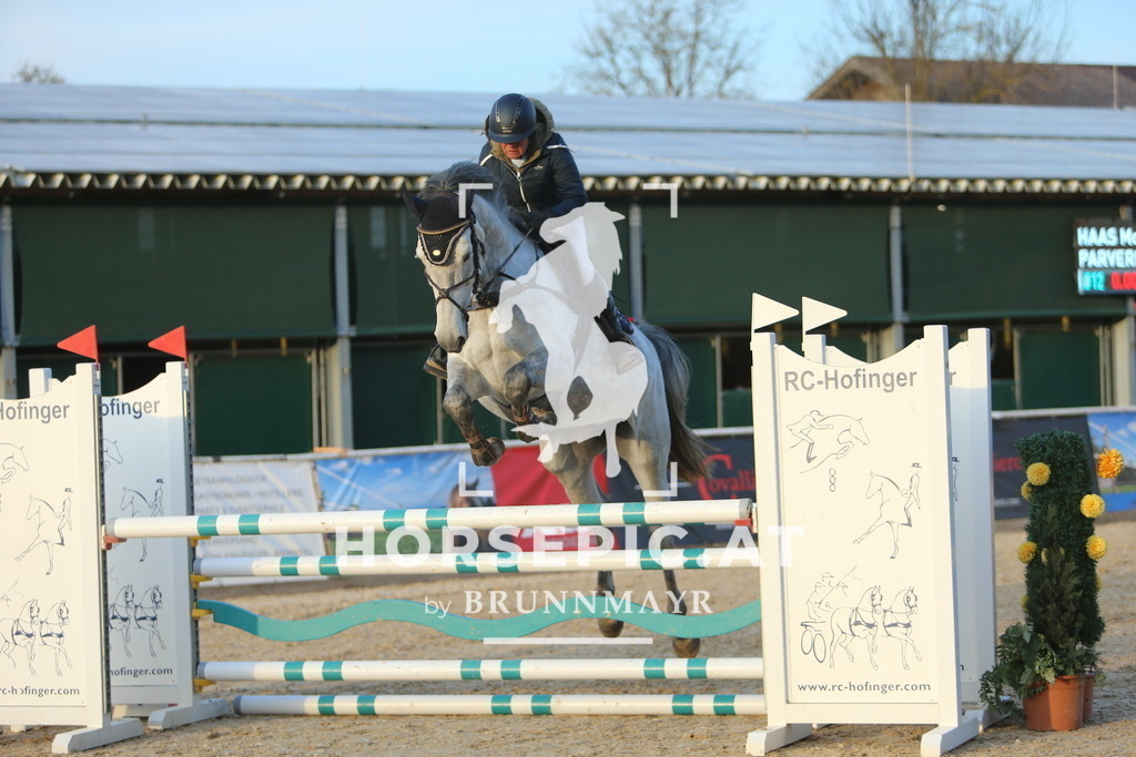 DL2Q4686 | Willkommen bei Brunnmayr - Design & Fotografie – Ihrem Spezialisten für Reitturniere und Pferdeveranstaltungen in Oberösterreich, Salzburg und Bayern! Seit über 17 Jahren sind wir leidenschaftlich dabei.