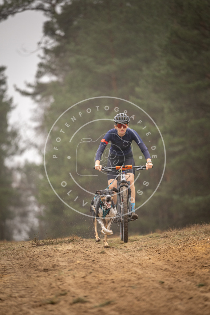 Pfotenfotografie_DV3A2788 | Hundefotografie, Tierfotograf, Pfotenfotografie, Fotoshooting Hund, Hunde Portrait, Hundesport, Hundeportraits, Heideshooting, Hunde, Sportfotograf, Hundefotograf, Turnierhundsport, THS,  - Realisiert mit Pictrs.com