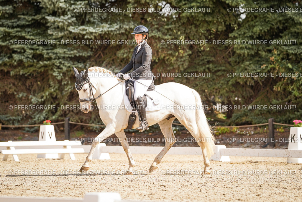 DSC01038 | Pferdegrafie