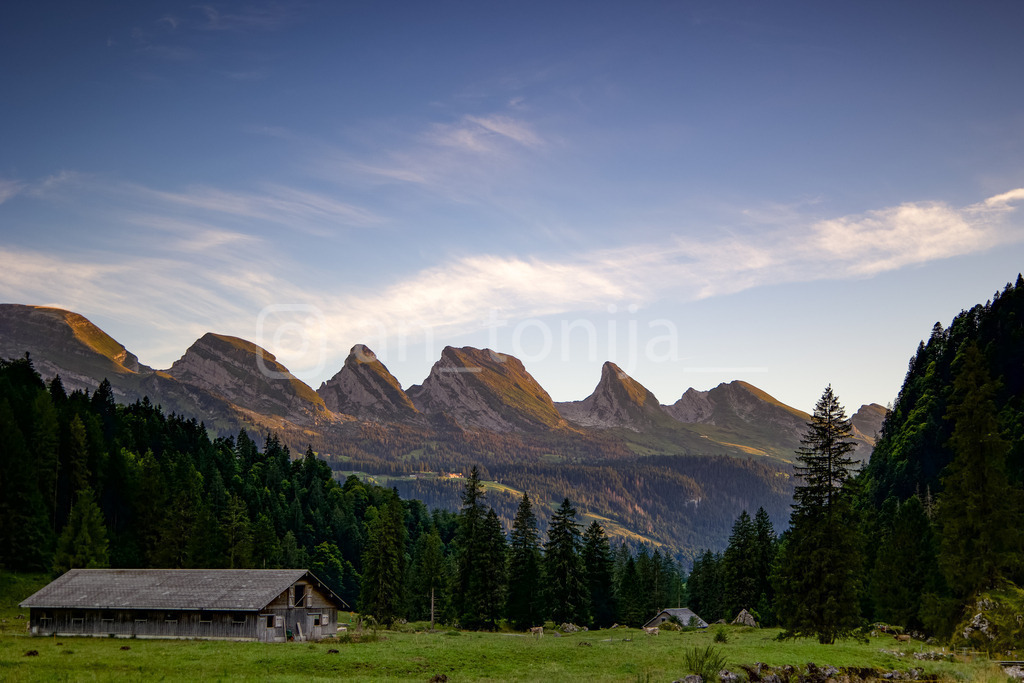 A.Trupina-118 | antonija-trupina - Realisiert mit Pictrs.com