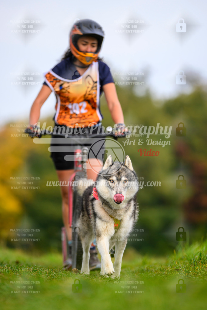 MompixPhotography_CDLBDB2025_DI_DS-103 | PayLife