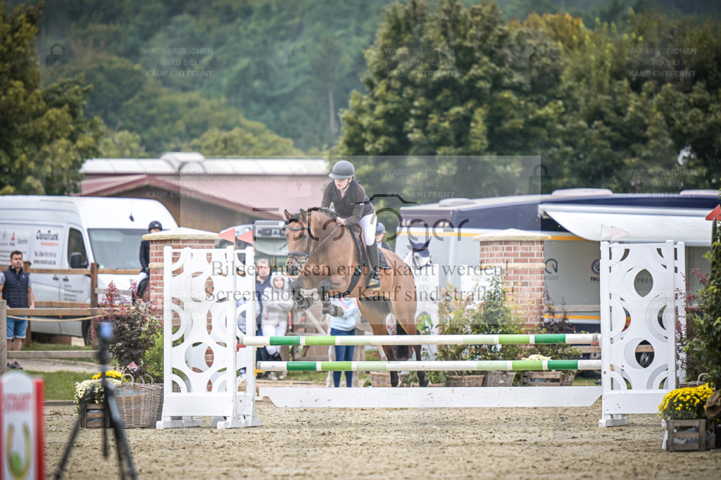DOS_0885 | Entdecke hochwertige Reitturnierfotos von Foto Oger. Professionell, emotional und authentisch – jetzt Lieblingsmomente im Shop bestellen. - Realisiert mit Pictrs.com