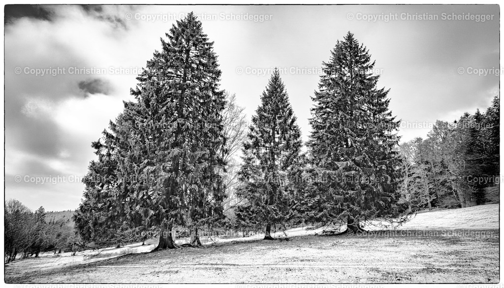 _DSC2884-2 | Entdecke hochwertige Fine Art Prints und Fotografien vom professionellen Fotografen aus Luzern. Jedes Motiv wird mit Liebe zum Detail aufgenommen, sorgfältig bearbeitet und in bester Qualität gedruckt – perfekt für Wohnräume, Büros oder als besonderes Ges - Realisiert mit Pictrs.com