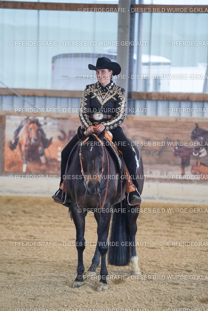 DSC09136 | Pferdegrafie