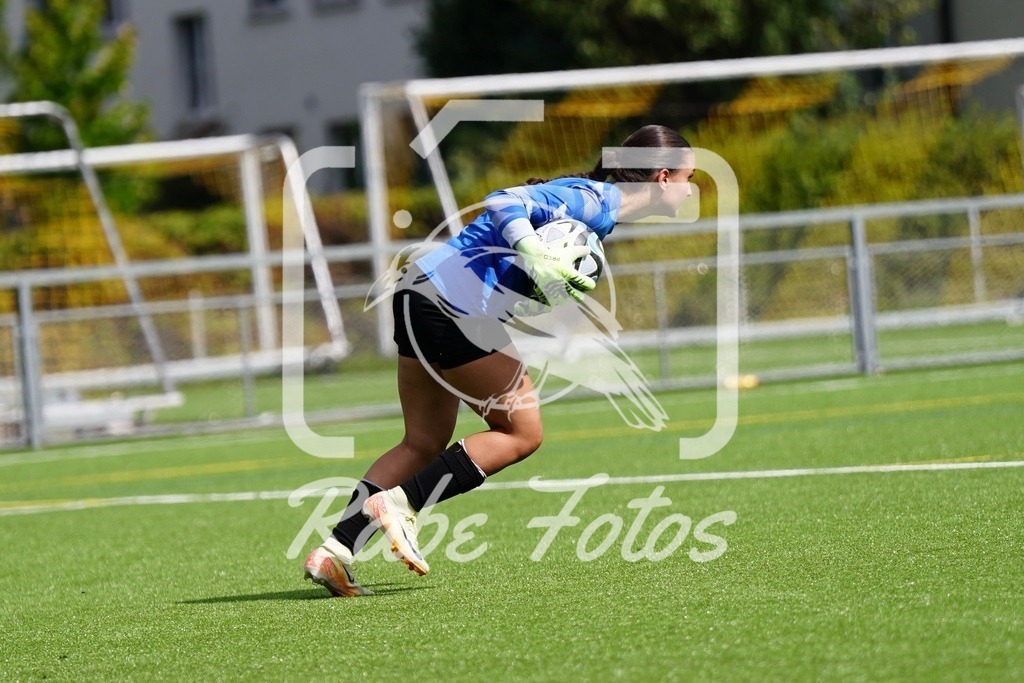 SON08836 | rabefotos