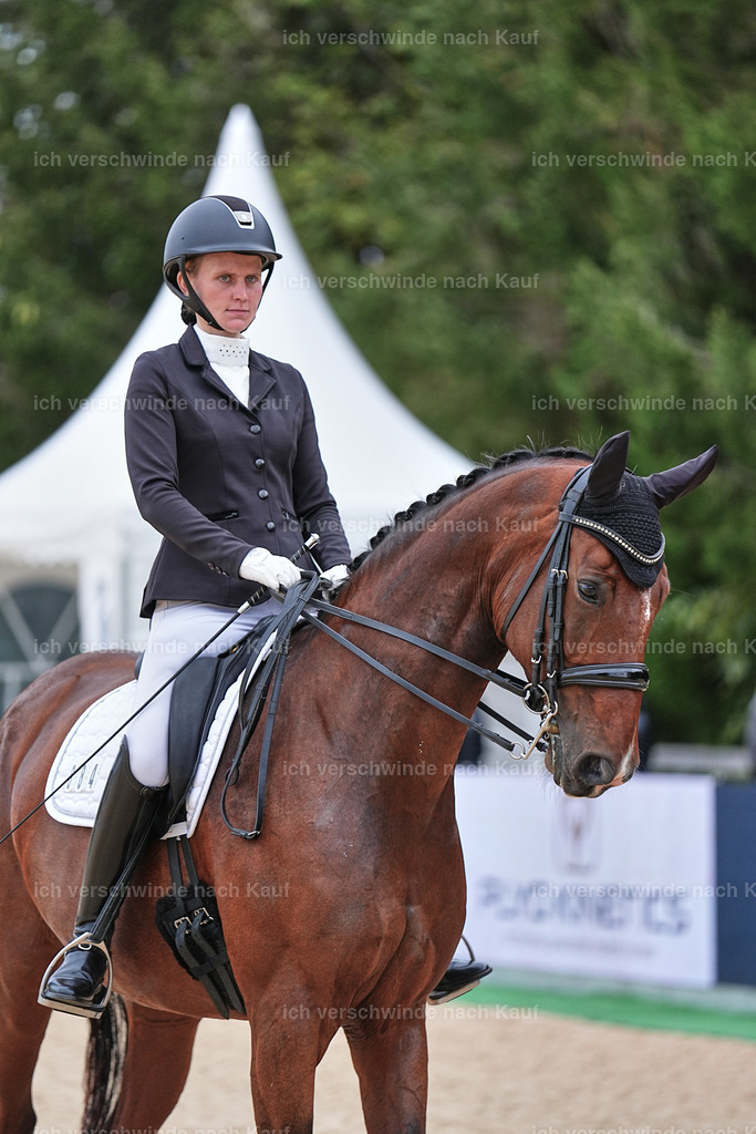04_1-084-Dressur M__ -Marixx-2746 | working equitationturnier fotograf videograf stoibphotography marixx film working equitation deutschland reitsport turnierfotografie eventfotografie equestrian events