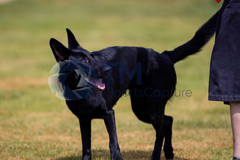 TP-20240815-0157 | Copyright: Trainproduction / Matthias Trinkl