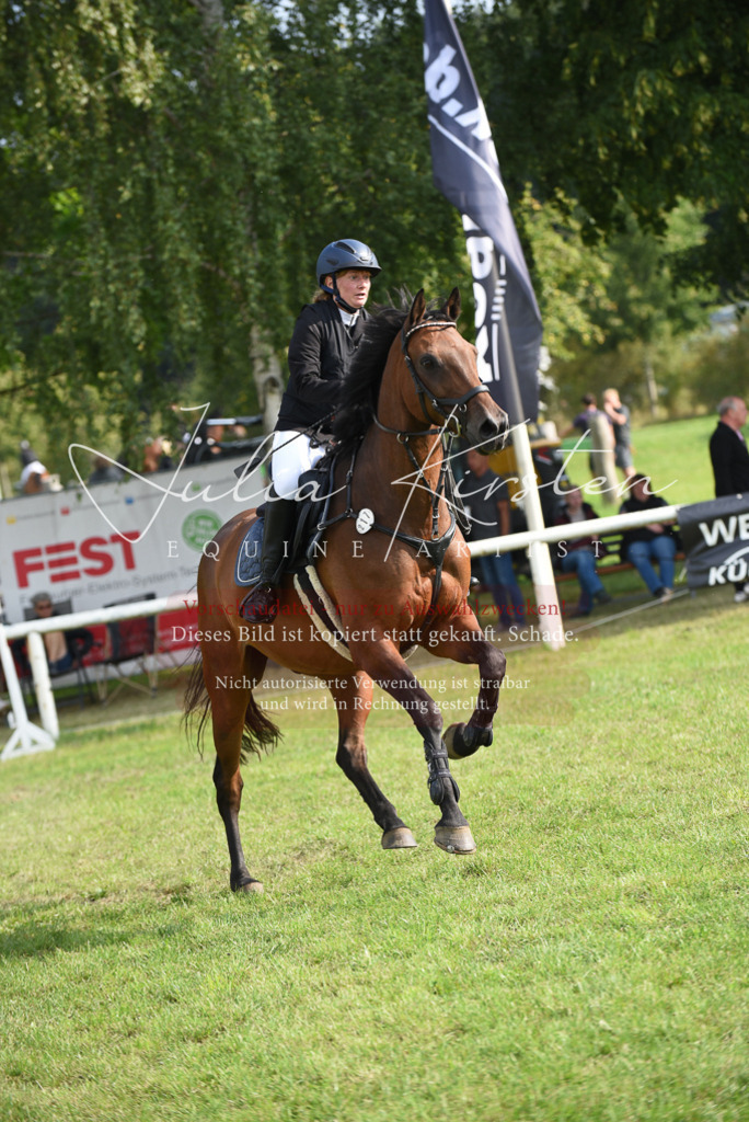 DSC_8750 | Pferde- und Turnierfotografie in Westsachsen. Pferdeportraits, Auftragszeichnungen und intuitive Kunst.
