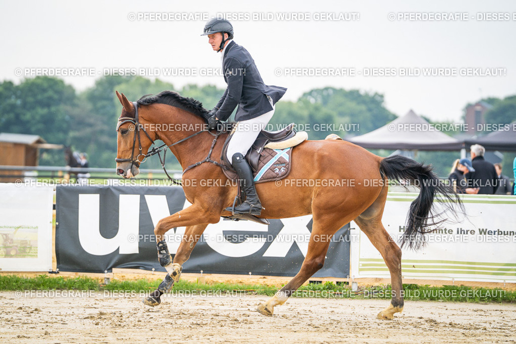 DSC09302 | Pferdegrafie