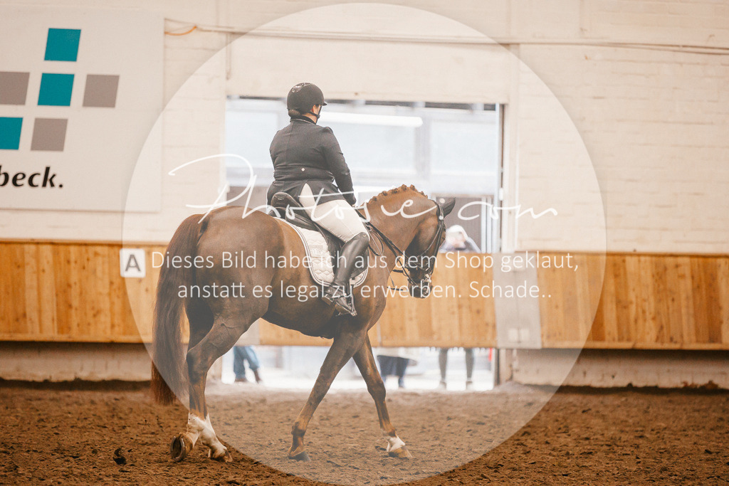 3I6A3066 | Stimmungsvolle Portraits und Reitsportfotografie im Ruhrgebiet und im Münsterland.

Pferdefotografie, Hundefotografie, Tierfotografie, Reportagen, Portraits von Tier und Mensch, Turnierfotografie in Bochum, Recklinghausen, Marl, Haltern am See, Dülmen.. - Realisiert mit Pictrs.com