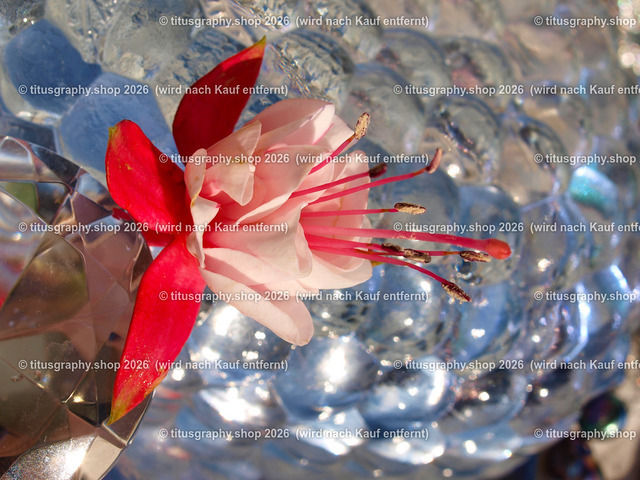 titusgraphy_P9238635-vz-ln | titusgraphy-shop: Geschenkideen mit Qualitätsfotos. titusgraphy-shop: gift ideas with quality photos. titusgraphy-shop: idées cadeaux avec photos de qualité.  - Realisiert mit Pictrs.com