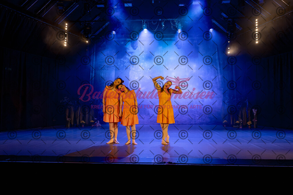 Ballettaufführung-516 | Bildershop Lem'n Entertainment - Realisiert mit Pictrs.com