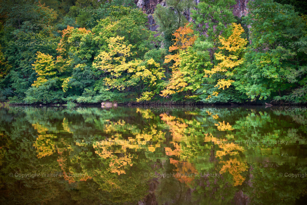 L1006301 | wlstudio - Realisiert mit Pictrs.com