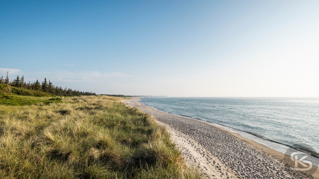 Weststrand Fischland-Darß-Zingst – Naturstrand mit Dünen und Ostsee | Der Weststrand auf Fischland-Darß-Zingst beeindruckt mit wilder Natur, Dünenlandschaften und weitem Blick über die Ostsee. Ein ursprünglicher Küstenabschnitt im Nationalpark Vorpommersche Boddenlandschaft. - Realisiert mit Pictrs.com