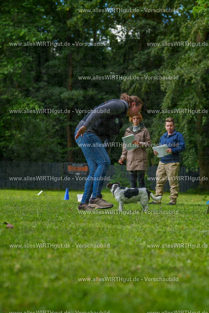 @allesWIRTHgut_Tierfotografie - www.allesWIRTHgut.de - 083051-7R506270 | Professionelle Tierfotografie in Mönchengladbach von Daniel Wirth (allesWIRTHgut). Liebevolle & natürliche Bilder von Hunden & Katzen für unvergessliche Erinnerungen.