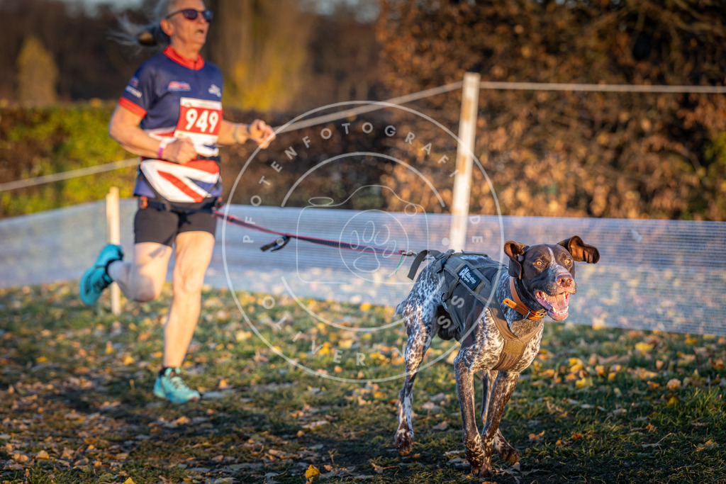 CaniXpix_DV3A5580 | Hundefotografie, Tierfotograf, Pfotenfotografie, Fotoshooting Hund, Hunde Portrait, Hundesport, Hundeportraits, Heideshooting, Hunde, Sportfotograf, Hundefotograf, Turnierhundsport, THS,  - Realisiert mit Pictrs.com