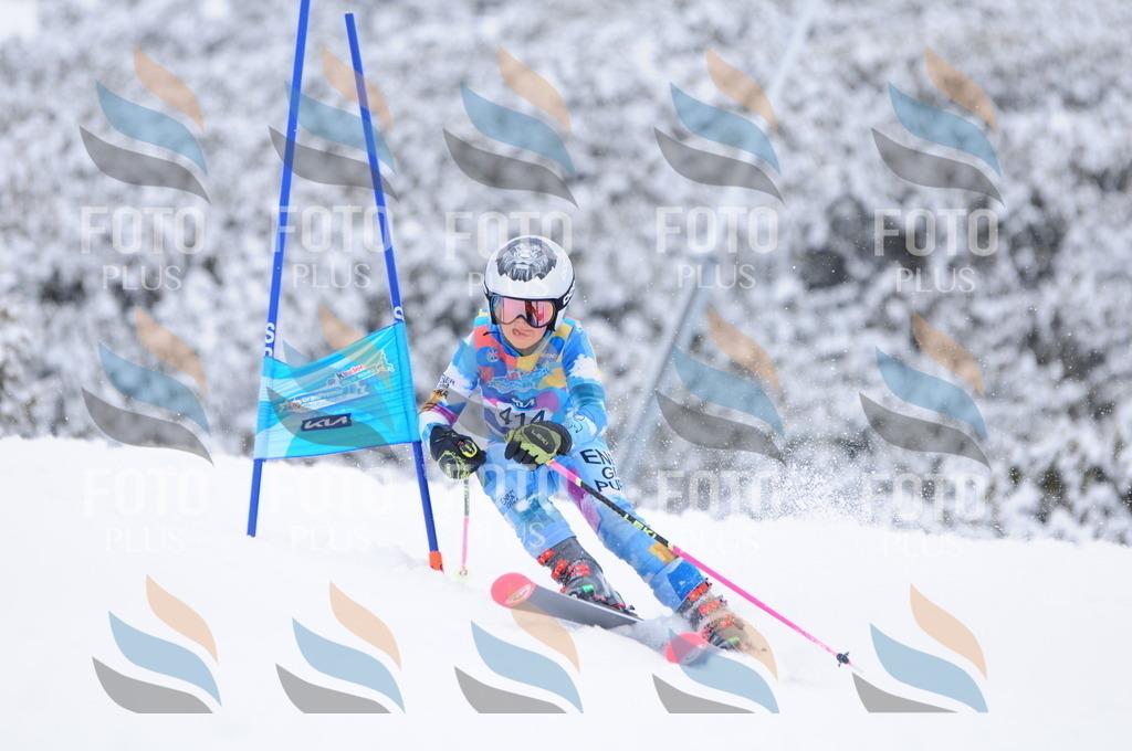 C4354 | holidayphoto