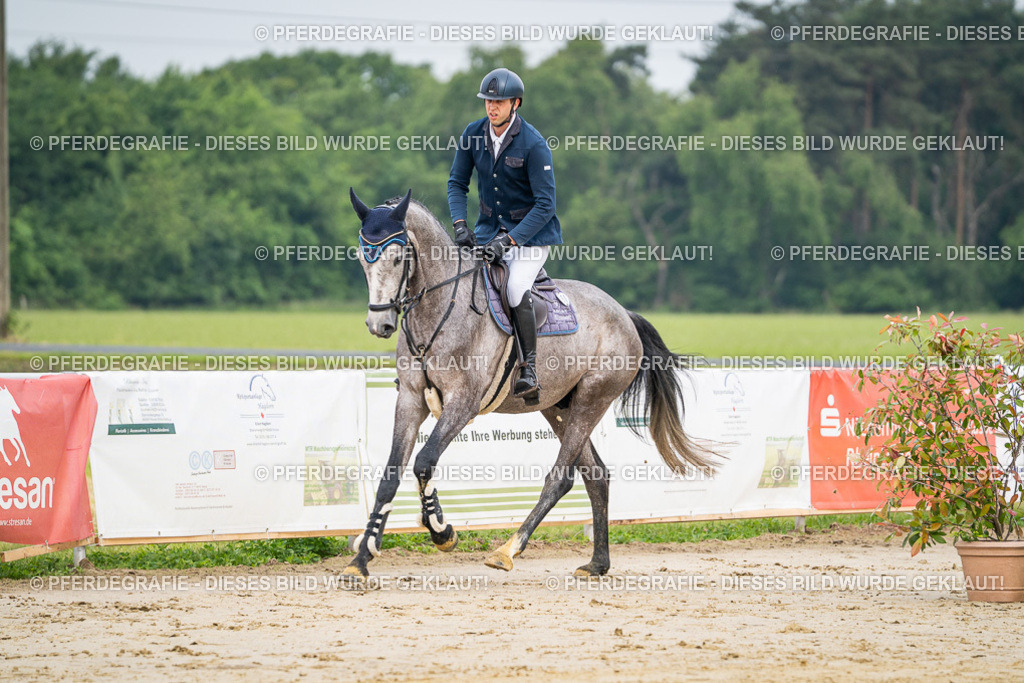 DSC09186 | Pferdegrafie