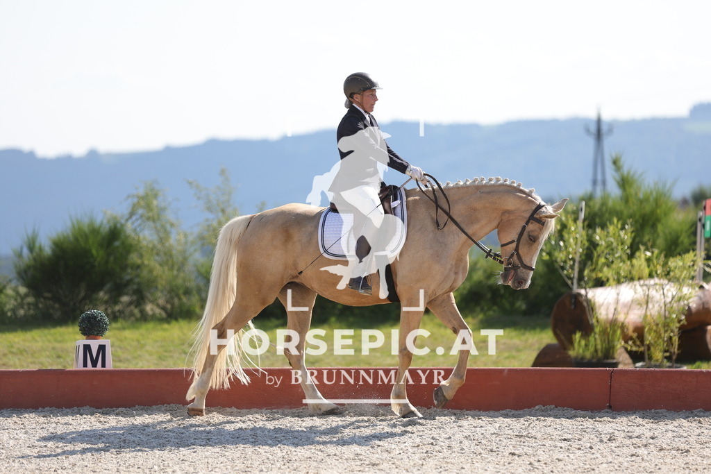 0P6A8408 | Willkommen bei Brunnmayr - Design & Fotografie – Ihrem Spezialisten für Reitturniere und Pferdeveranstaltungen in Oberösterreich, Salzburg und Bayern! Seit über 17 Jahren sind wir leidenschaftlich dabei.