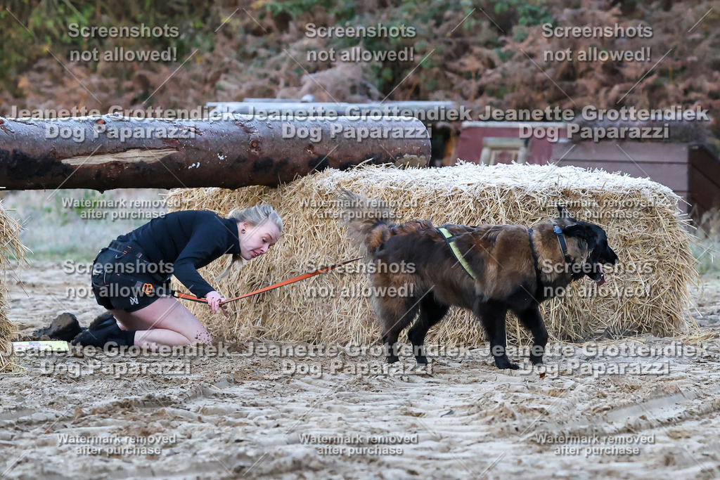 Dog Paparazzi - Strongdog 10-25-56 | Dog Paparazzi Jeanette Grottendiek Fotografie & Videografie - Realisiert mit Pictrs.com