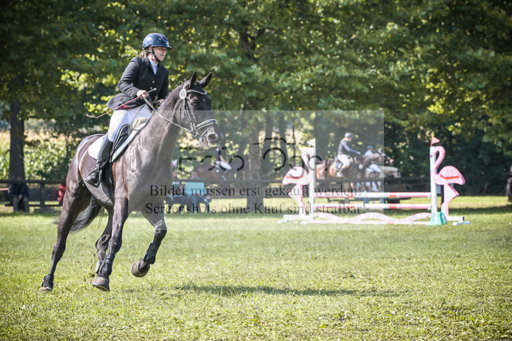 DOS_0420 | Entdecke hochwertige Reitturnierfotos von Foto Oger. Professionell, emotional und authentisch – jetzt Lieblingsmomente im Shop bestellen.Deutschlandweite Turnierfotografie. - Realisiert mit Pictrs.com
