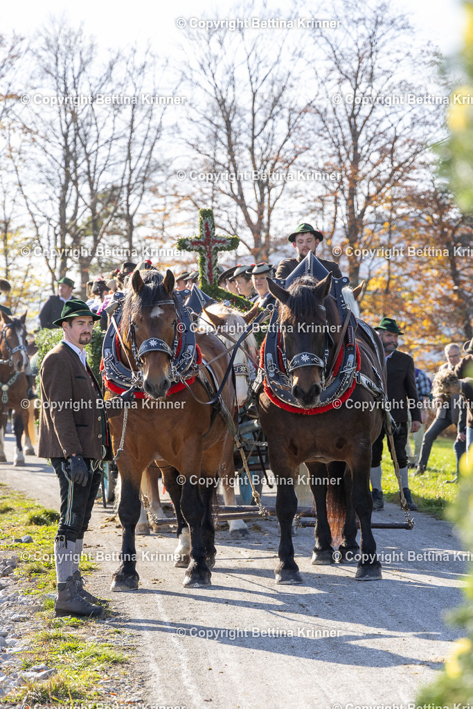 LBT24-1385 | foto-bettina-krinner - Realisiert mit Pictrs.com