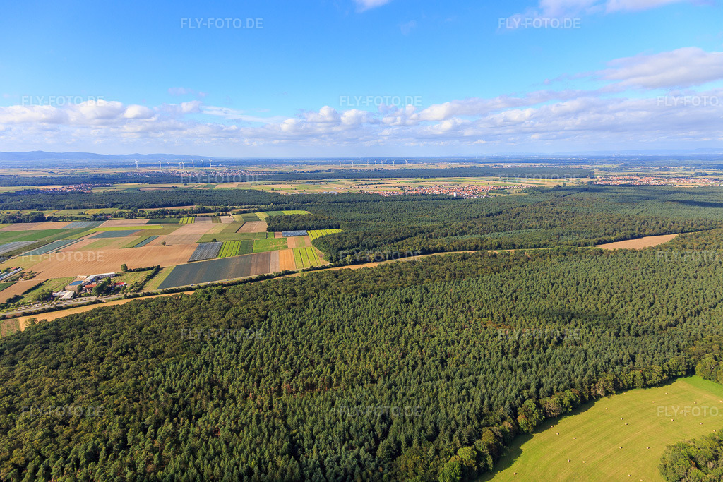 Luftbild: Adamshof von Süden in Kandel im Bundesland Rheinland-Pfalz in Deutschland. Foto: IMG_093355.jpg vom 22.08.2016 durch Werner Riehm/FLY-FOTO.de