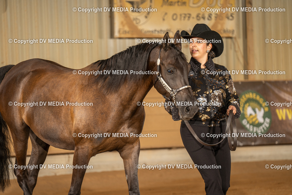 NID02335 | dv-media-shop - Realisiert mit Pictrs.com