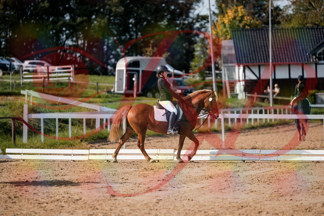 2026_10_03_Siefer-Hof_122314_Z63_45476803 | Professionelle Reitsport-, Turnier- und Eventfotografie von Robert Broda. Galerien mit ausgewählten und bearbeiteten Bildern direkt online ansehen und bestellen.